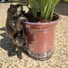 Frog Plant Pot Decoration Resin Easy to Install Statue Vintage Frog Ornament for Garden Patio Flower Pots