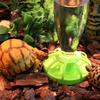 Drinking Fountain Easy to Clean Detachable Smooth Edges Wear-resistant Space Saving Feed Water Convenient Reptile Water Drinker Dispenser for