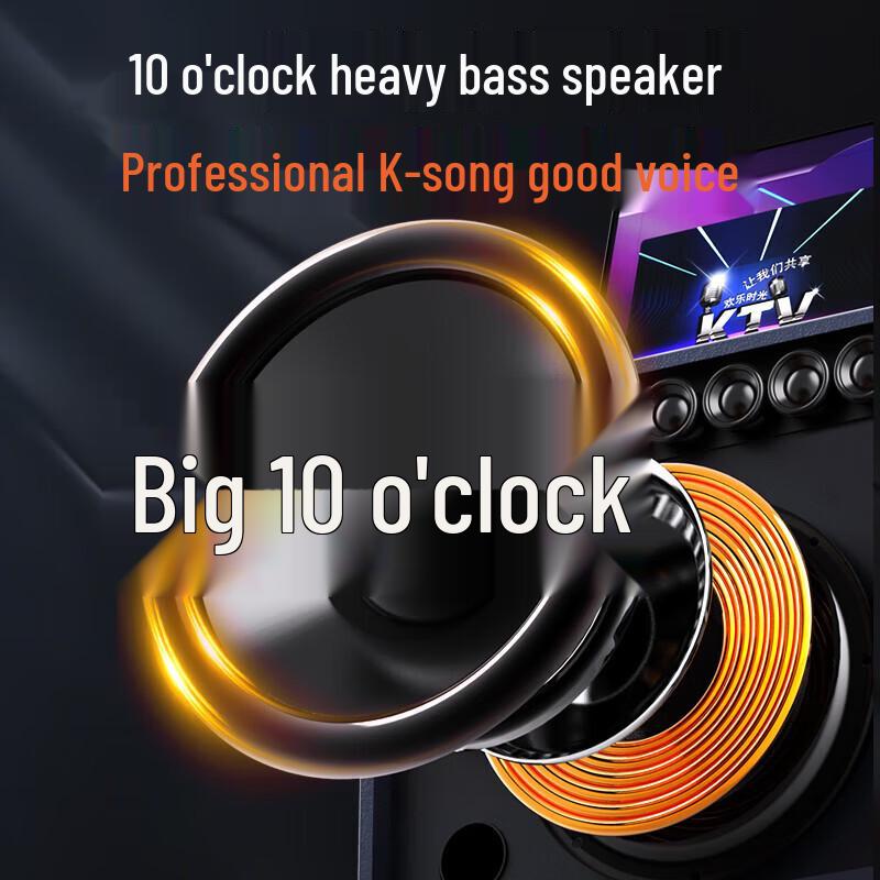 SANSUI Q109 Outdoor KTV Karaoke Speaker System CN Plug (adapter Included)