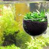 Hydroponischer Fischteich-Pflanzgefäß-Saugnapf-Aquarium-Pflanzenbecher Transparent Abnehmbar Fischteich-Landschaftsgestaltung Einfach zu züchten Für lebendige Live