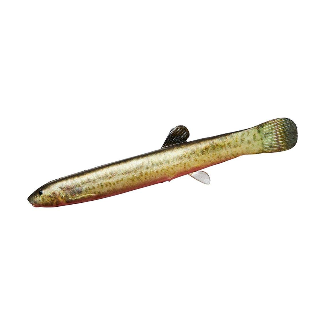 

DAIWA Comfortable Real Loach Worm 105mm Red Belly Loach