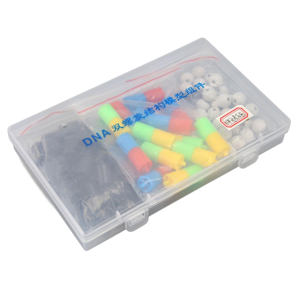 DNA Double Helix Structure Models Educational DNA Double Helix Modesl Kit Biological Science
