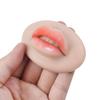 Soft Silicone Permanent Makeup Lip Blush Tattoo Training Skin Microblading Reusable 3D Practice Lips Mold For Makeup Artists