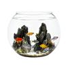Pești și animale marine – Decorul acvariului