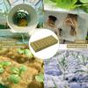 Stonewool Hydroponic Grow Media Cubes Garden Seedling Block Water Seed Sowing Germination Culture Substrate Planting Rock Plug