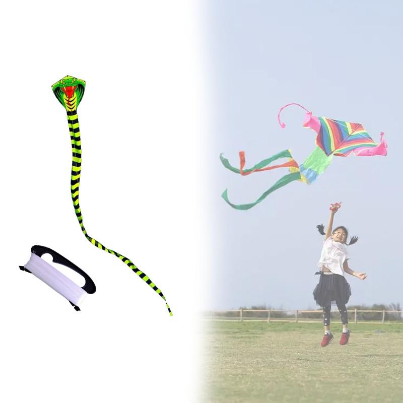 Snake Polyester Lightweight Triangle Kite Glass Fiber Structure Travel Festival