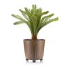 Donica Moss Eco Wood Naturalne Drewno