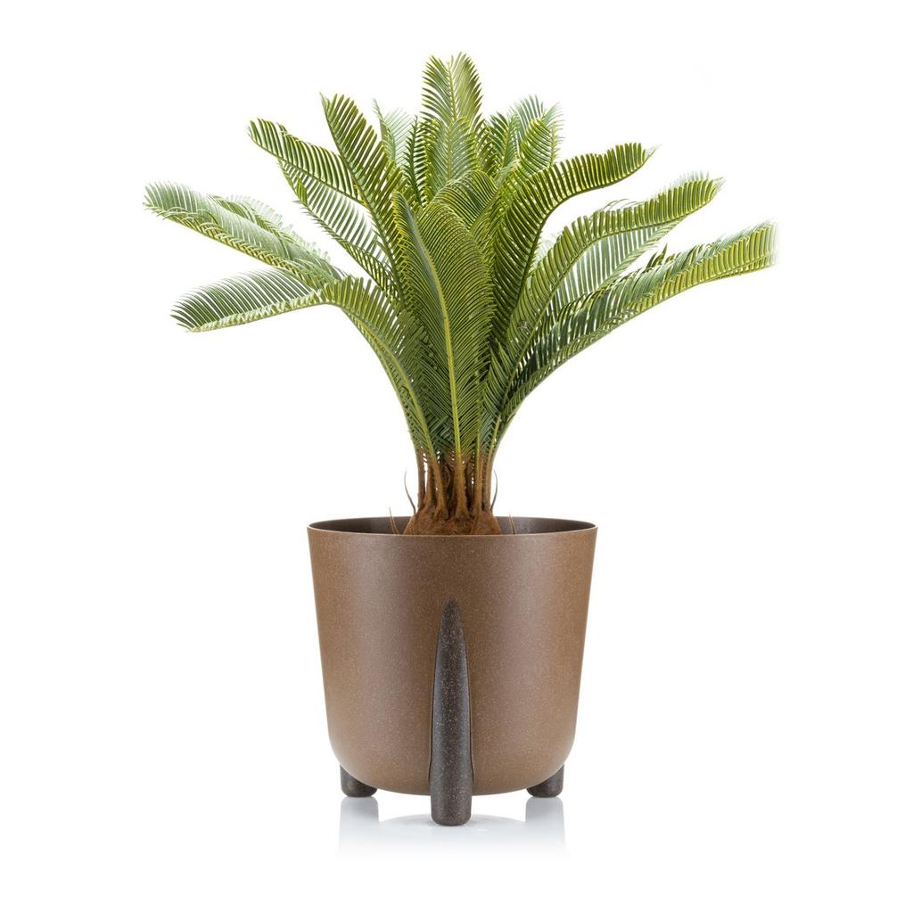Donica Moss Eco Wood Naturalne Drewno