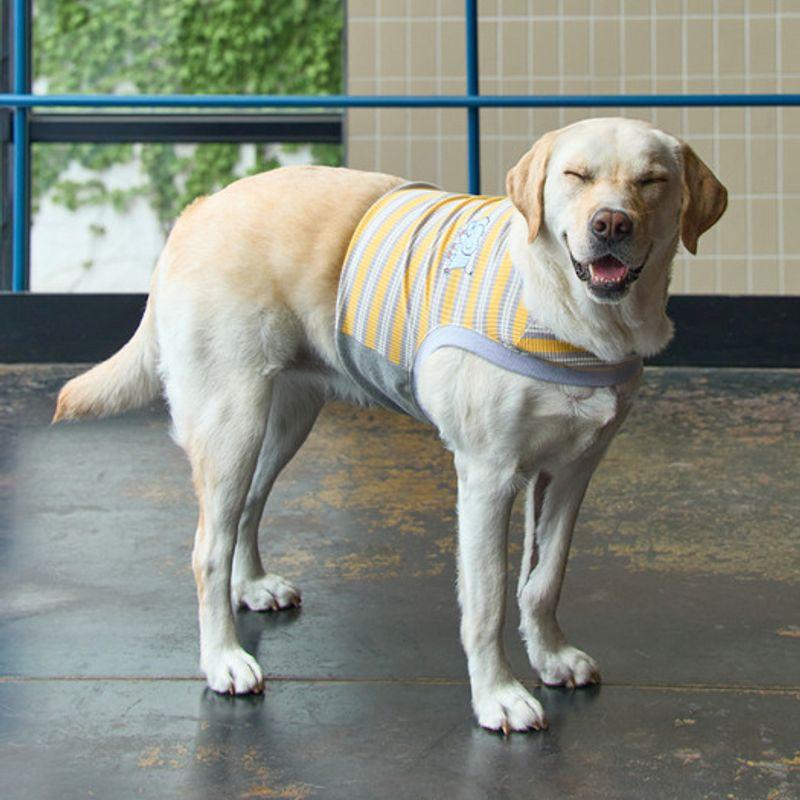 MUNIKUND Elee One Hole Crop - Yellow