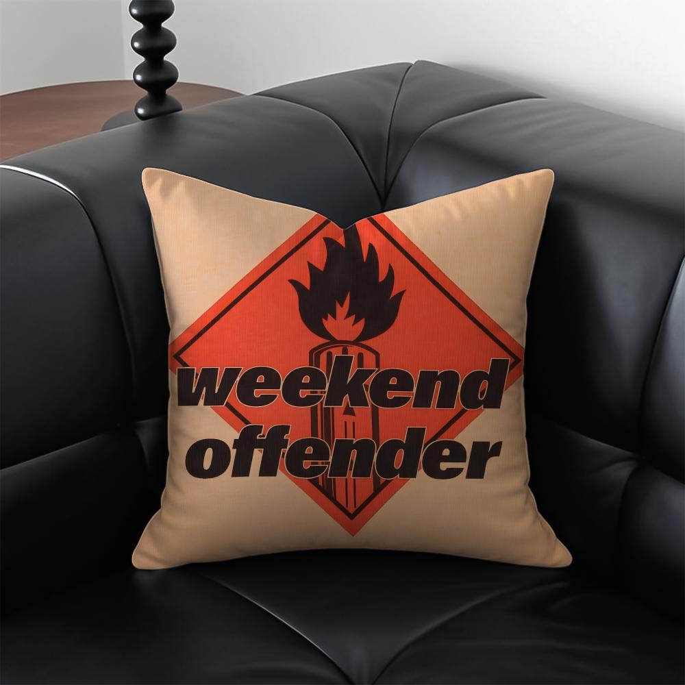 WWeekend OOffender Cushion Cover Pillow Case Antidustmite Invisible Zipper Silky Plush Cushion