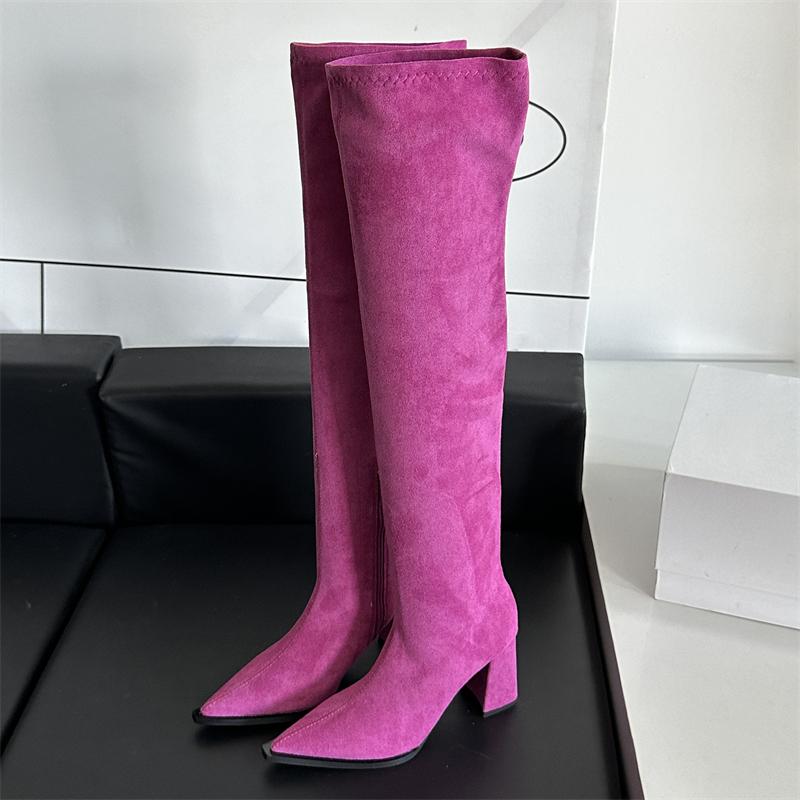 Eilyken Winter Pointed Toe Woman Over
