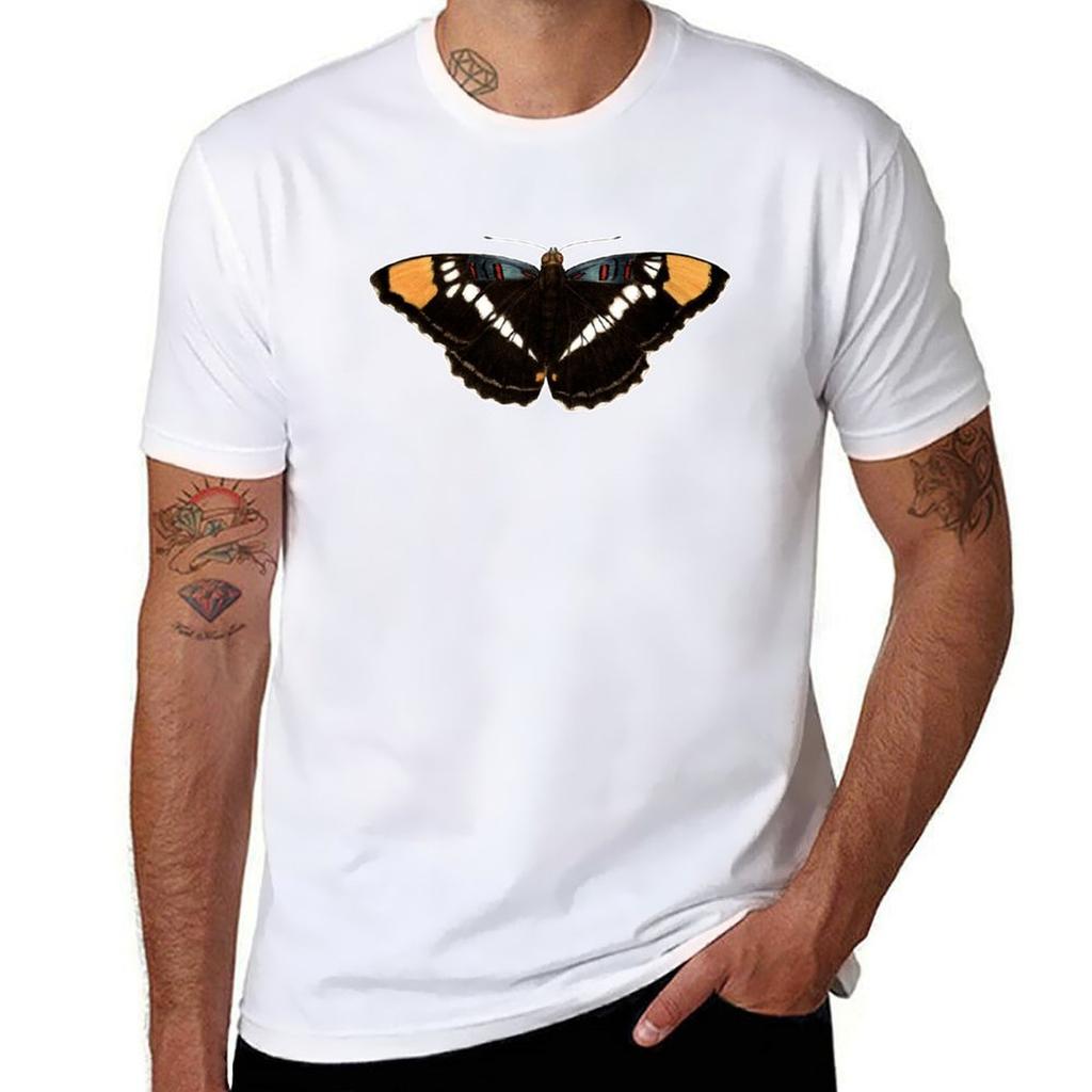 California Sister (Adelpha Californica) Tshirt T Shirts For Unisex Graphic Tees Anime T Shirts Oversize Tshirt