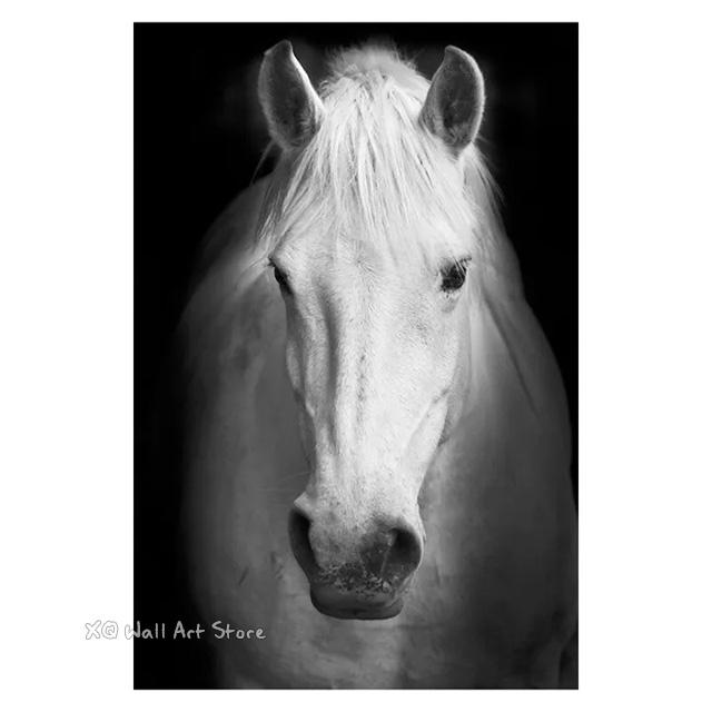 Black White Animals Art Canvas Paintings On The Wall Lion Tiger Elephant Posters and Prints Wall For Living Room Home Frameless