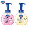 Safeguard Foaming Hand Wash (Cherry Blossom & White Tea) 2x300g