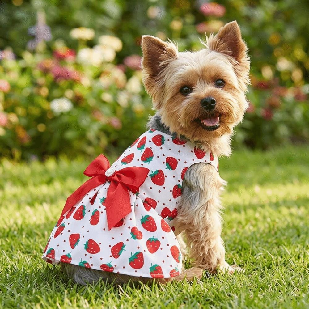 Thin Pet Skirt Lightweight Cat Apparel Skin-friendly Dog Dress  Daily Wear