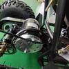 ATV Elettrico da Spiaggia, Motoneve e Veicolo Fuoristrada per Bambini 36V 800W