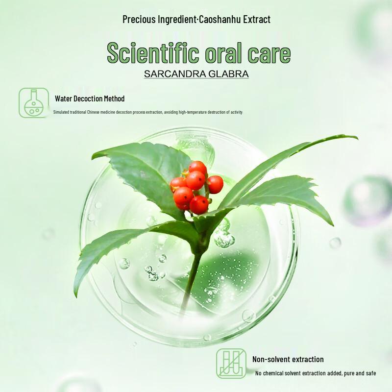 Liubizhi Herbal Gum Protection Toothpaste