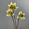 Real Touch Artificial Slipper Orchid Single Branch Lifelike Silk Orchid Flower Realistic Simulation Orchid Home Restaurant