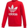 adidas Originals Grade School Sweatshirts Crew Neck Moderate ED7798