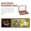 Cabilock 1-Piece Butterfly Specimen Display Case with Lid, Wooden Specimen Box