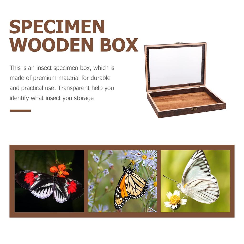 Cabilock 1-Piece Butterfly Specimen Display Case with Lid, Wooden Specimen Box