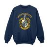 Harry Potter Boys Hufflepuff Sweatshirt
