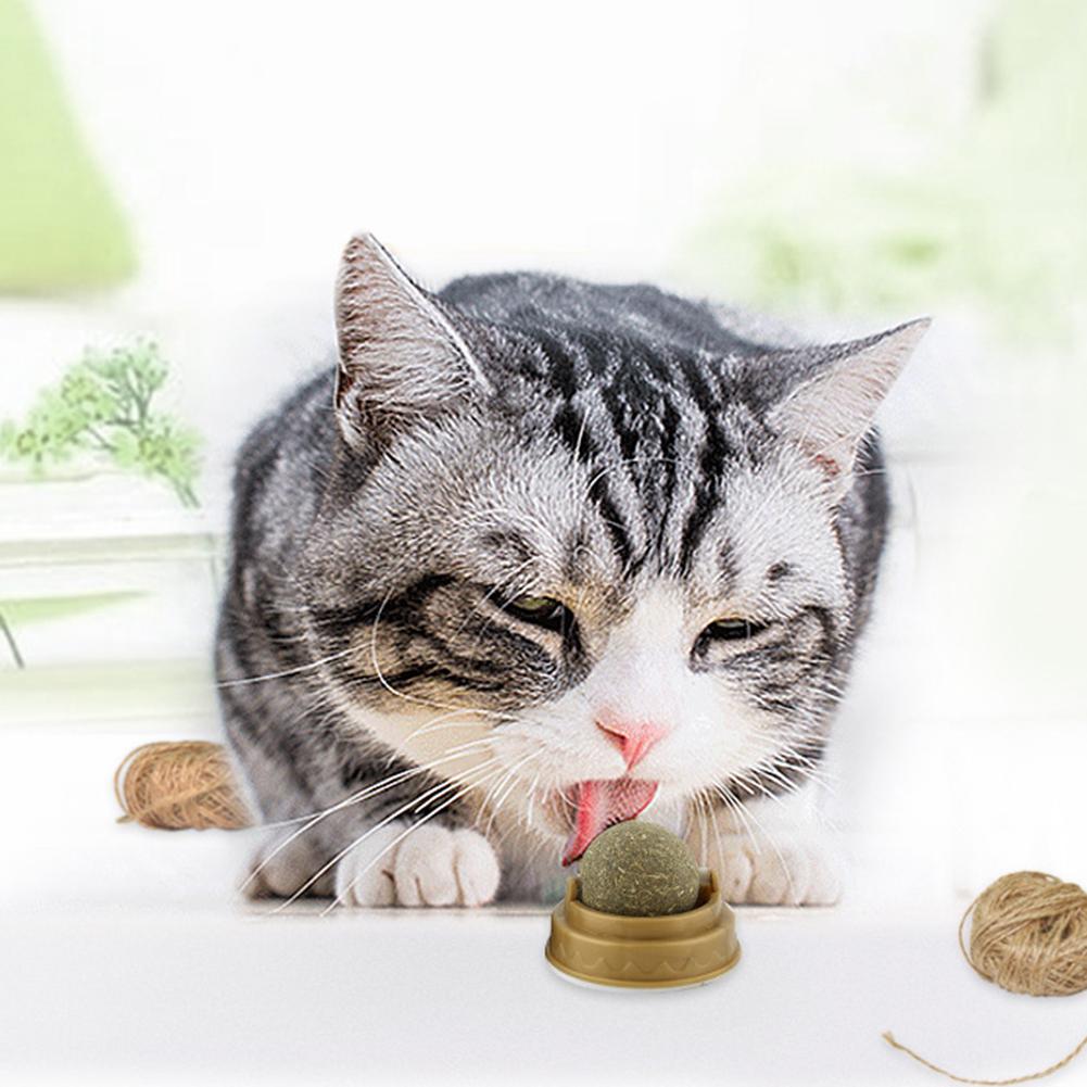 Healthy Catnip Snack Stick-on Molar Teeth Cat Catnip Ball Toys Removes Hair Balls Promote Digestion with Dust Cover Pet Supplies