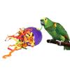 Birds Toys Colorful  Foot Rolling Parrot Training Ball Parrotlet Cockatiel Lovebird Bite Resistant Playing Accessories