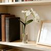 10Pcs Shatterproof Transparent Plastic Cylindrical Vases - Thickened Bohemian Style Party Decoration, Suitable For Various Festivals, Weddings