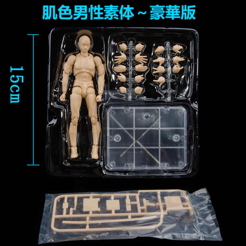 Scale Male and Female Figure Dolls with Movable Ideal for Drawing Drawing and Practice Includes Props and Stands Skin 1/12 Joints, Manga, Mannequins,