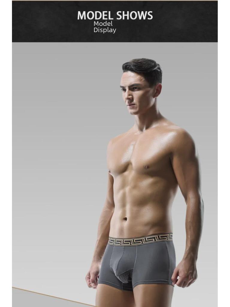 Men's Elephant Underwear, Ice Silk Breathable Mesh U-Convex Large Size Boxer Briefs