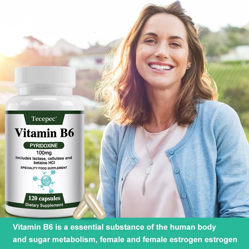 Vitamin B6 (Pyridoxine) 100 Mg Dietary Supplement, 120 Capsules Per Bottle