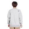 The North Face NEVER STOP ING Mixed Size M Crew, Gray,