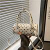 New autumn handbag small bag bag women's premium polka dot niche pillow bag single shoulder messenger bag