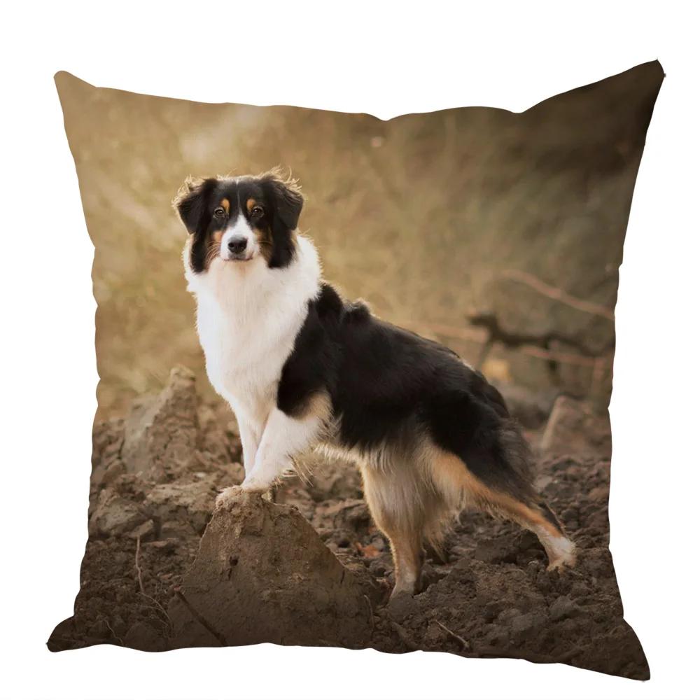 

Cute Australian Shepherd Dog Pillow Case Peach Skin Decor Pet Animal Cushion Cover Thorw Pillowcase for Sofa Home Car 45x45cm 12x12Inch