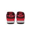Nike Dunk Low SB 'Laser Crimson' (Unisex) Laser Crimson / Black / Team Red Skate Shoes 304292 606