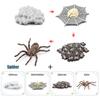 Toys Model Educational Simulated Animal Card Set Insect Plant Growth Cycle Cognitive Montessori Parish Home Open Learning Kids