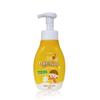 GAMDONG Hand Wash Fruit Scent 300ml (40829270)