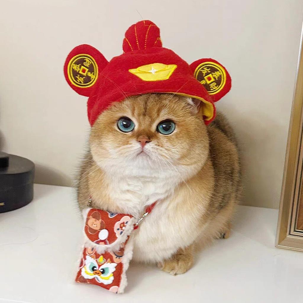 Pet Hat Decoration Headgear Plush Drag Puppy Dog Cat Cuter Than Bear Photo Headgear Funny