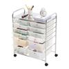 Rolling Cart with Drawers, Double Row 12 Drawer Storage Organizer, Mobile Utility Cart with Chrome Steel Frame