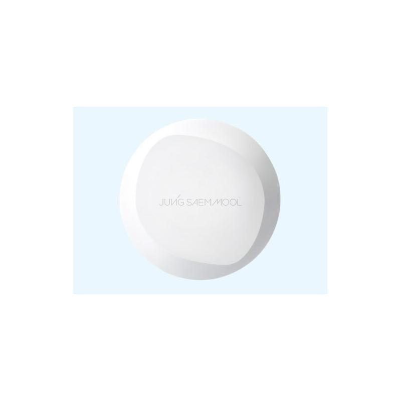 JUNGSAEMMOOL Pro-Lasting Fix Mesh Cushion