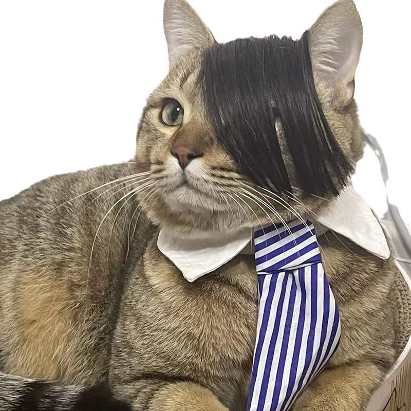 Pet Adorable Wig For Cats And Dogs With Lively Flipping Hair For Occasions Special