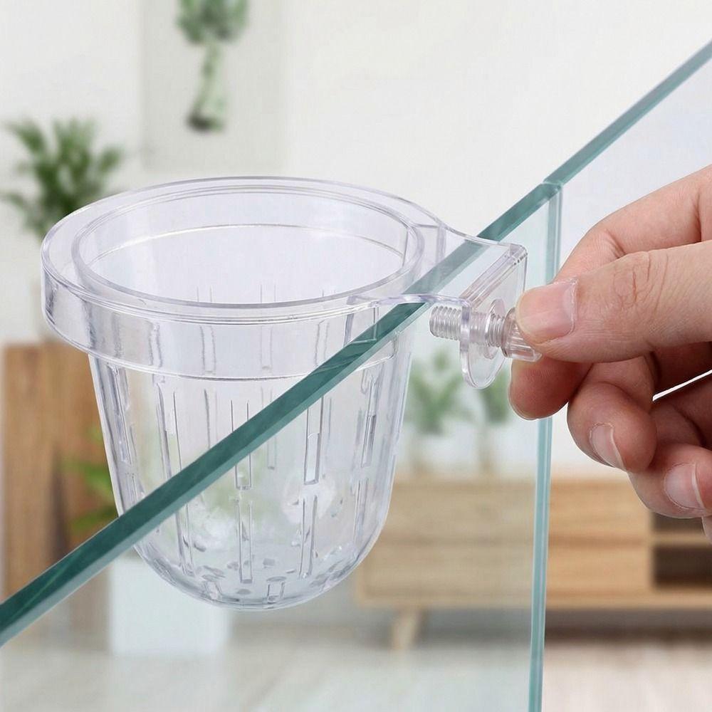 Transparent Fish Tank Grass Cup Round Wall Mounted Hydroponic Support Plastic Hanging Wall Hanging Pots Hydroponic Gardening