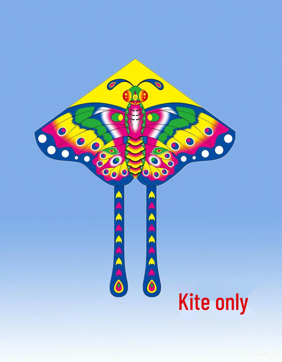 

Красочный радужный воздушный змей-бабочка для детей - Легко запускать, с длинным хвостом для слабого ветра