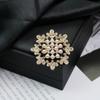 Elegant Versatile Light Luxury Corsage Brooch with Niche Design - Anti-Exposure Pin