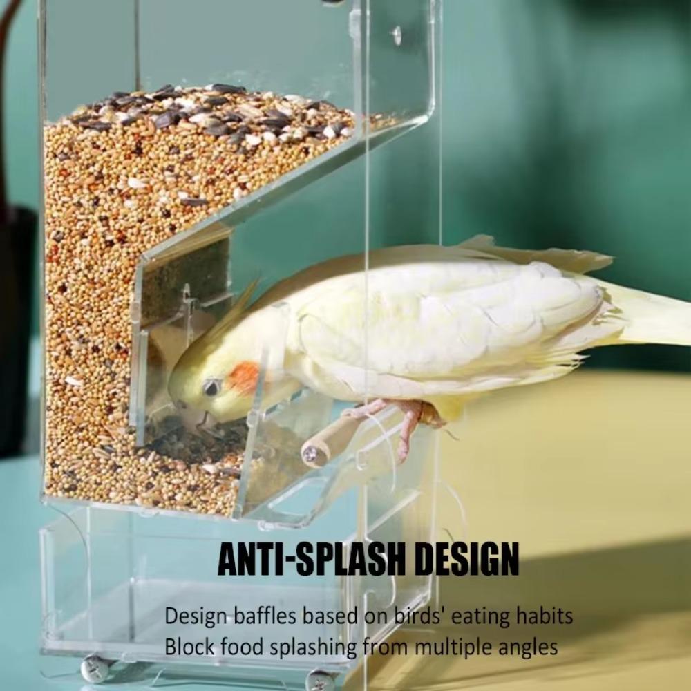 Adjustable Feeding Speed Parrot Feeder with Bottom Drawer Transparent Food Container  Parakeet
