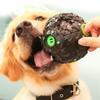 Slow Dispensing Squeaking Ball for Puppy Pet Food Dispenser Dog Feeder Dog Chew Toy Pet Puzzle Toys