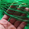 Green Plant Climbing Net for Flowers, Melons, and Beans
