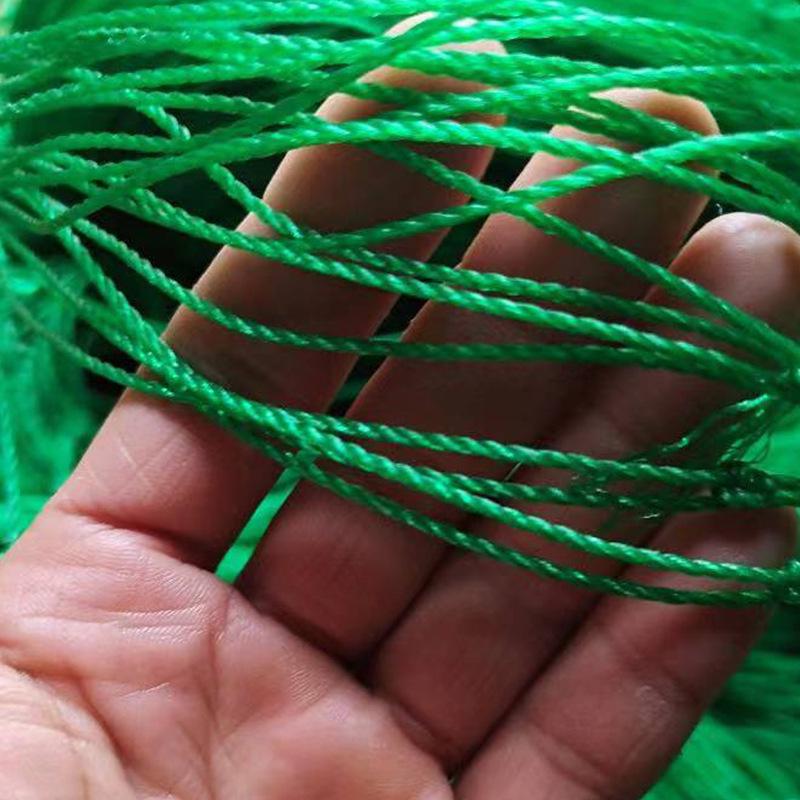 Green Plant Climbing Net for Flowers, Melons, and Beans