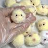 2Pcs/Lot QQ Play Chick Pinch Keychain Decoration Send Girlfriends Baby Pendant Slow Rebound Decompression Toys TPR Soft Gift